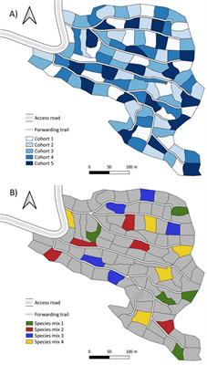 Adapting the patch-cut system to implement forest assisted migration